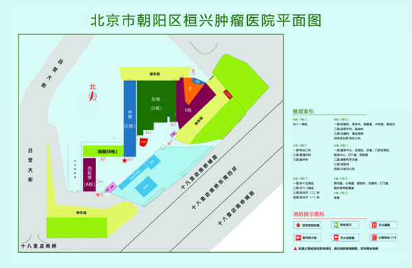 农村老太太日逼视频北京市朝阳区桓兴肿瘤医院平面图